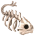 Xương cá